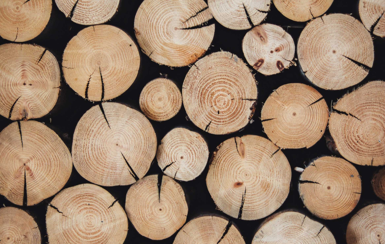 TimberBase hos Småland Timber